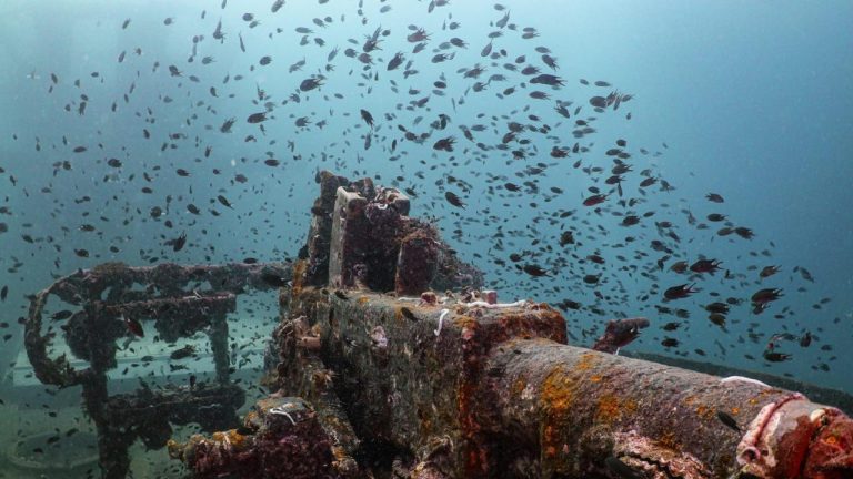 Sunken Treasure: Exploring the Hidden Shipwrecks of the World's Most  Secluded Scuba Spots